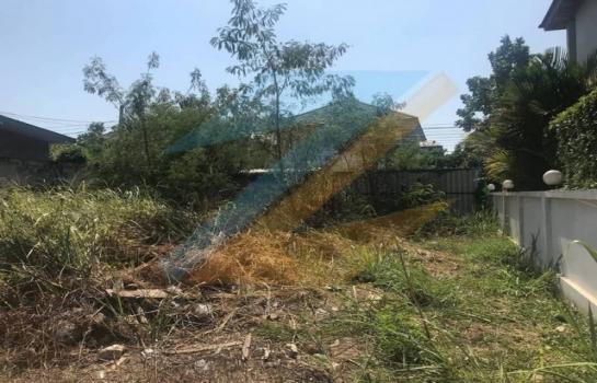 ��ا෾ �� zionasset1