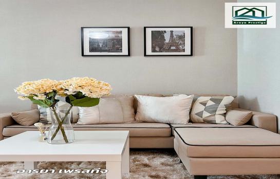 �͹�����§�ѵ���� �ҧ�͡�˭�