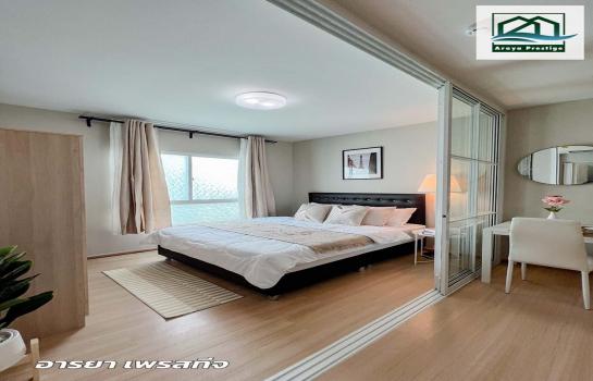 �͹����������¹�� �ҧ�͡�˭�