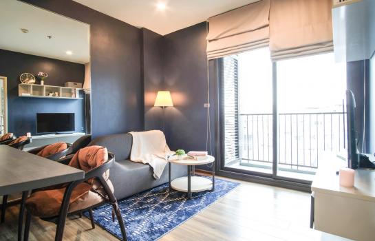 ���⢹� �� ��