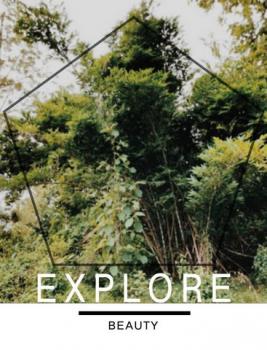 ��·��Թ ��ҹ 850,000 �ҷ