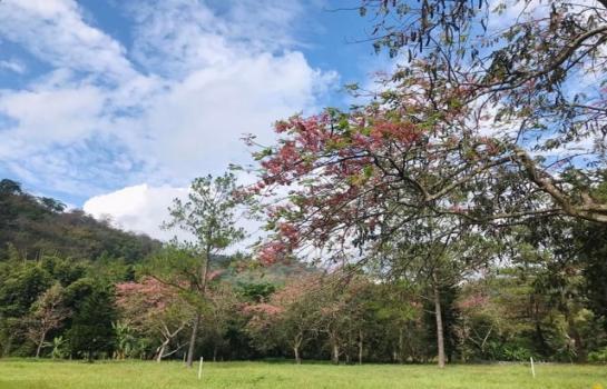 ������ �� northern1