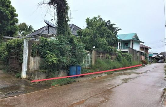 ˹ͧ��� �� panaya.opalopal