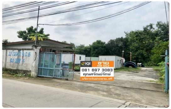 �ҧ�˭� �� iqithailand