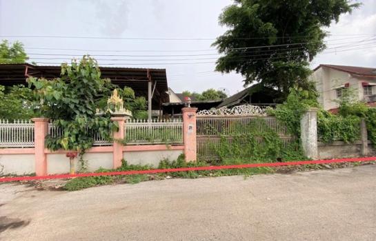 ˹ͧ��� �� panaya.opalopal