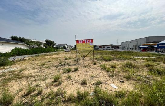 ������� �� zionasset1