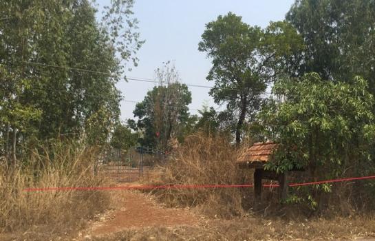 ��ҹ˹ͧ��� �� compos2566