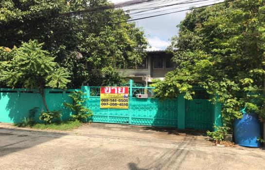 �ҧ�л� �� zionasset1