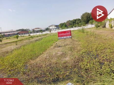 �ź��� �� The Best Property Agent