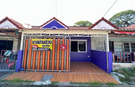 ��ªź��� �� Ingfar Pearkaew