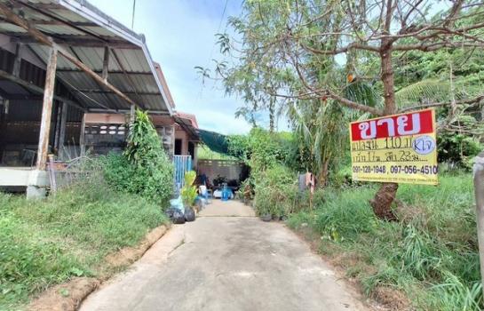 �� �� zionasset1