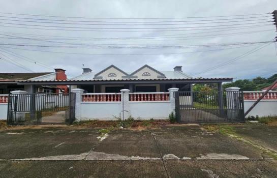 ���ͧ �� northern1