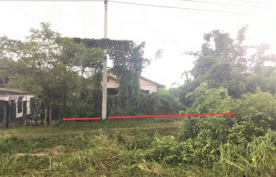 ˹ͧ��� �� panaya.opalopal