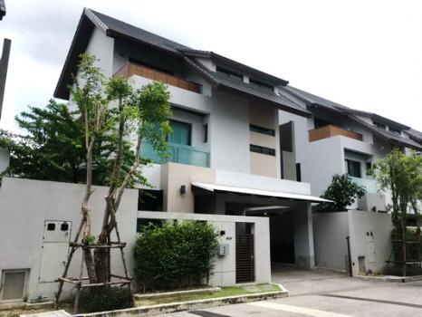 �ҧ�л� �� Nuttapong