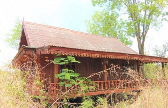 ��ҹ˹ͧ��� �� compos2566