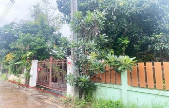 ˹ͧ��� �� panaya.opalopal