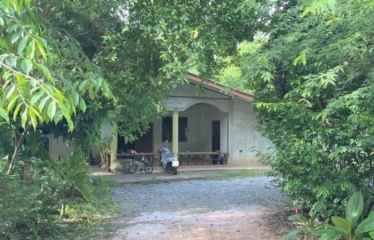 ��ҹ˹ͧ��� �� compos2566