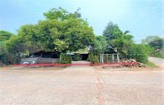 ˹ͧ��� �� panaya.opalopal