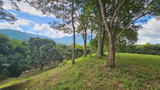 ���Թ �Դ����͹��յ ����