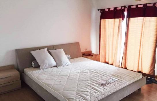 �͹� 52 ���ҧ��