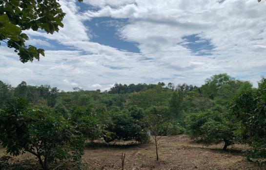 ��¹�ҹ �� zionasset1