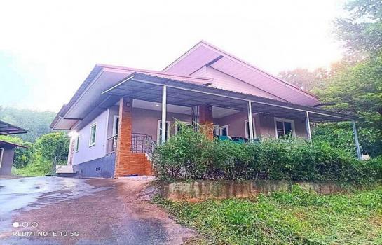 ����§ �� zionasset1