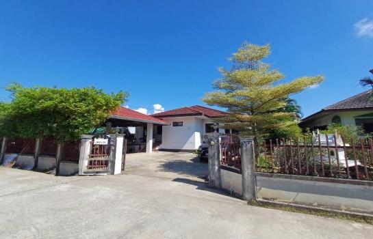 �ѹ���� �� �Ң�ѭ �Ź�����