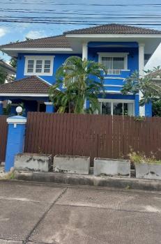 �Ң�ѭ �Ź�����