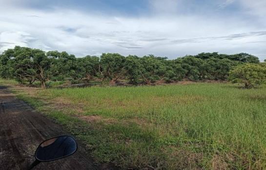 �ҧ�� �� northern1