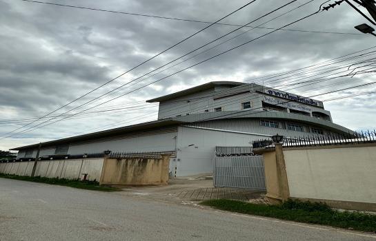 ⡴ѧ������ �ҧ��Ƿͧ�������