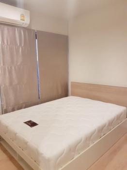 �͹����ͧ ���ͧ