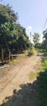 �ѹ��ҵͧ �� northern1