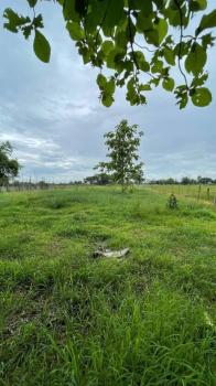 �ѹ��ᾧ �� northern1