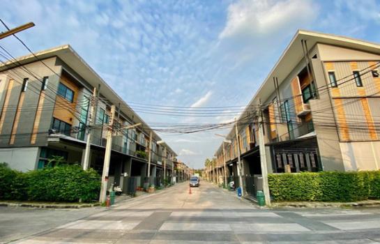 �֧���� �� Nuttapong