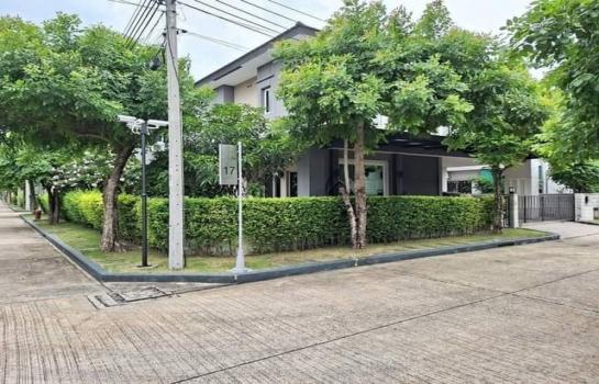 ��ºҧ�� �� willingproperty