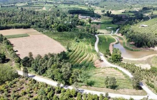 ��§���� �� Jyn Property