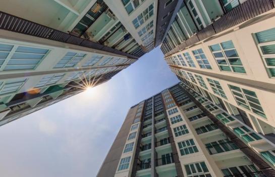 �Ң�ѭ �Ź�����