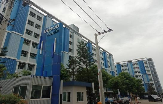 �֧���� �� B.Y.55