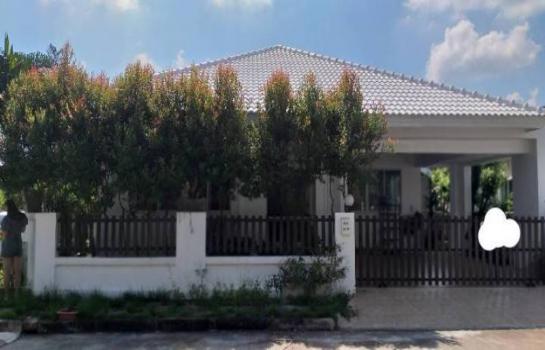 �ҧ�� �� �Ң�ѭ �Ź�����