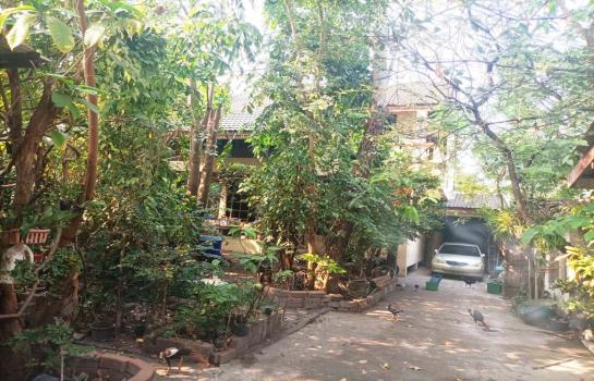 �ҧ�ع��¹ �� Perfect Property1