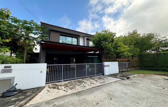 �Ң�ѭ �Ź�����