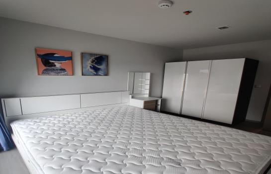 �Ҫ��� �� ��