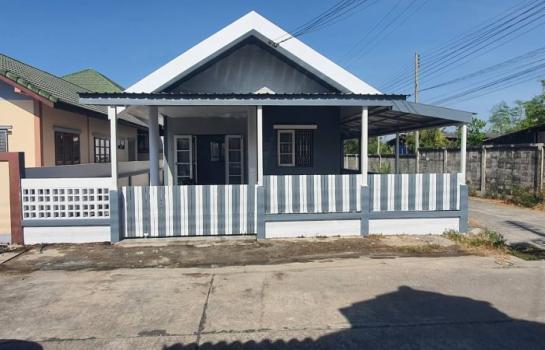 ��ªź��� �� Ingfar Pearkaew