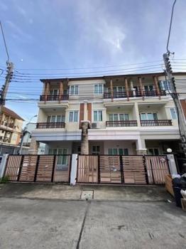 ��´͹���ͧ �� coasset22