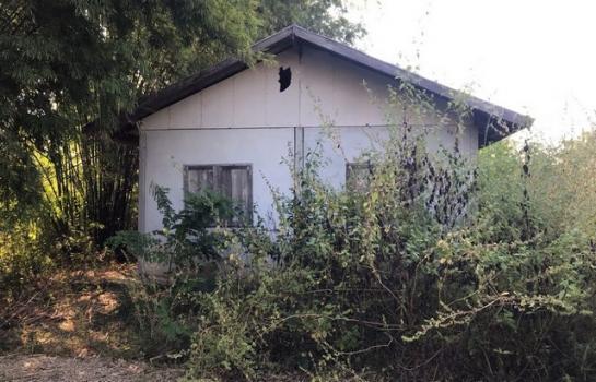 ����شøҹ� �� compos2566