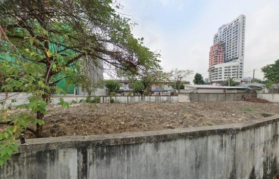 ��بѡ� �� HarrisonTH