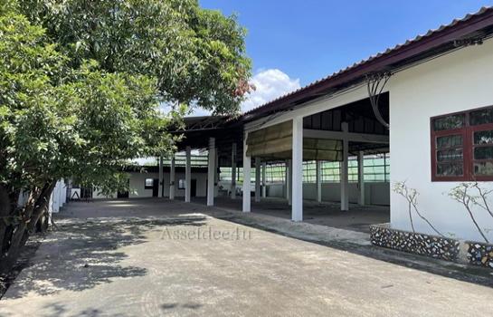 ���١�� �� AssetD4U