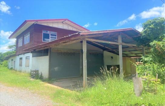 ��ҹ⾸�� �� panaya.opalopal