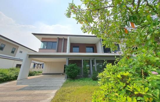 ����Ѳ�� �� �����ԡ�