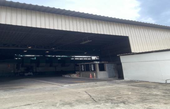 ��л��ᴧ �� mart